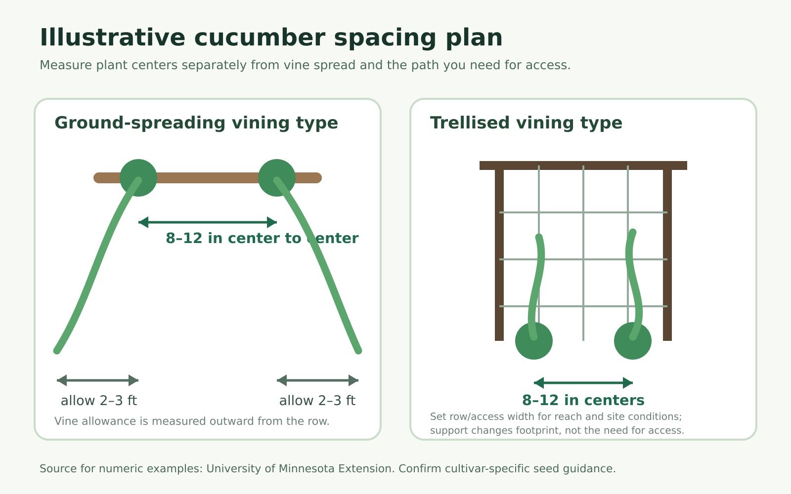 Illustrative plan distinguishing cucumber plant-center spacing, ground-vine allowance, trellis line, and access space
