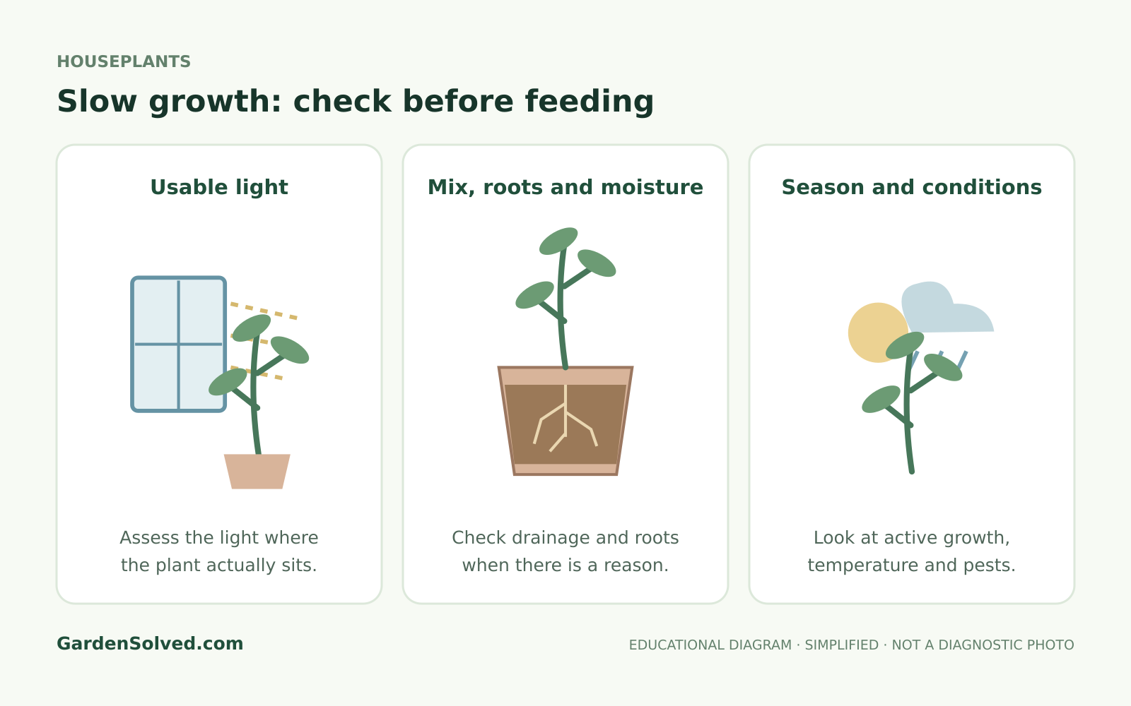 Educational diagram: slow growth: check before feeding, showing usable light, mix, roots and moisture, season and conditions