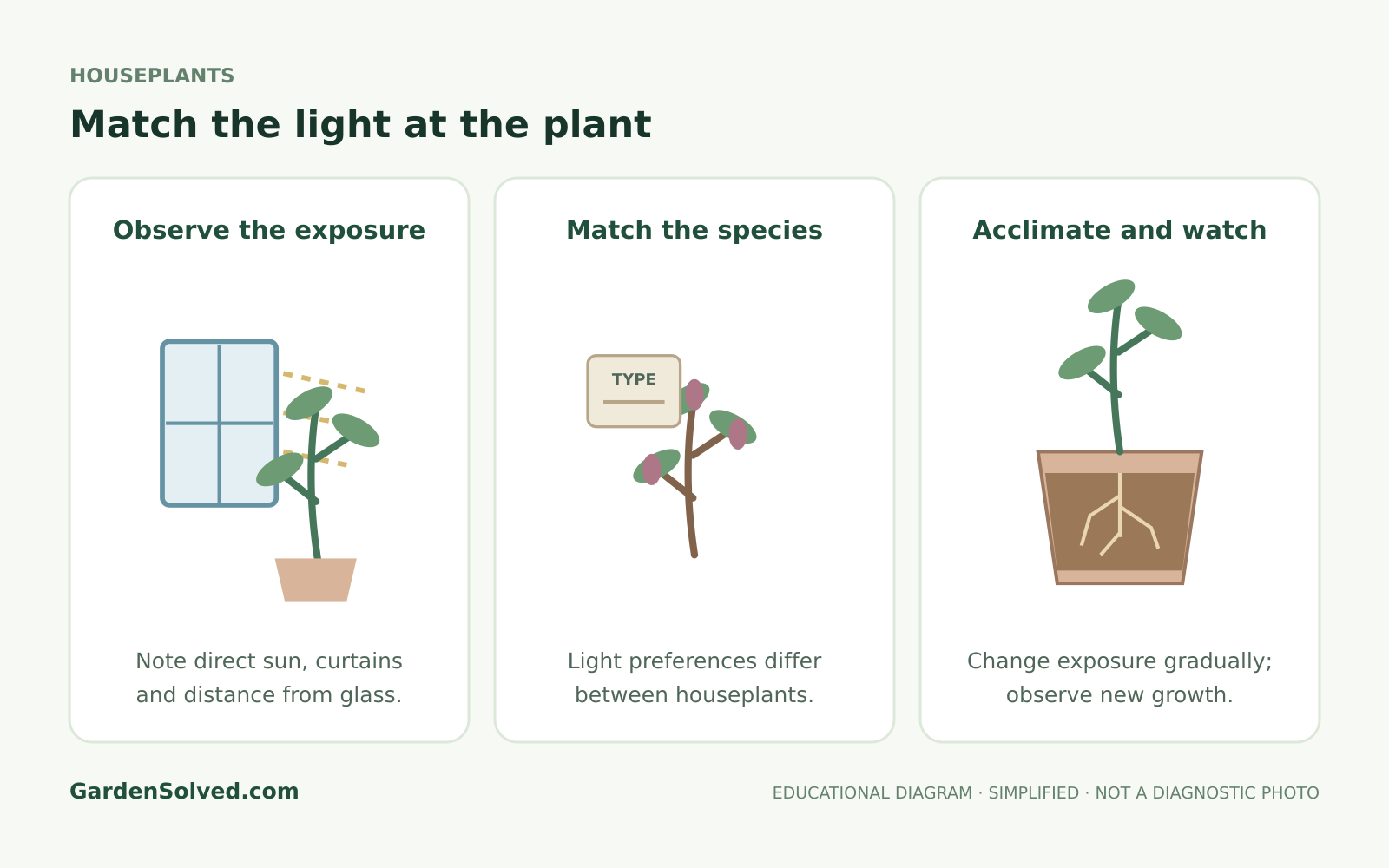 Educational diagram: match the light at the plant, showing observe the exposure, match the species, acclimate and watch