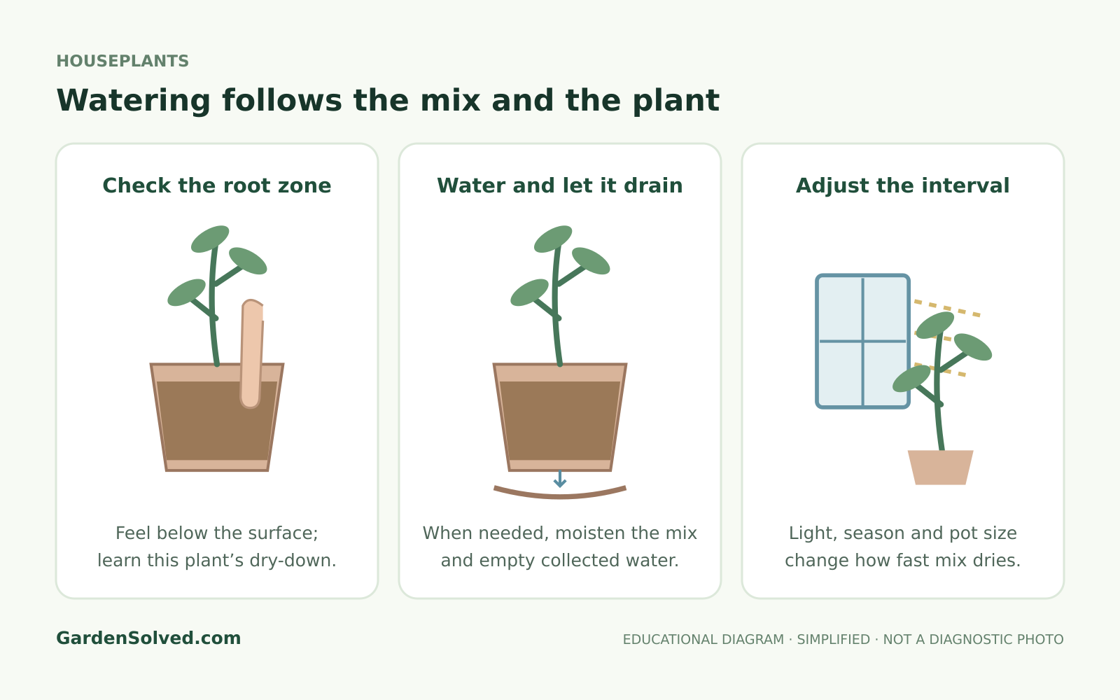 Educational diagram: watering follows the mix and the plant, showing check the root zone, water and let it drain, adjust the interval