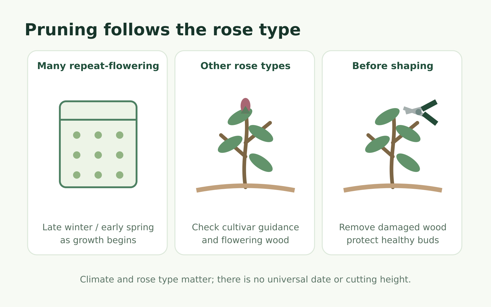Educational diagram linking rose type, seasonal growth and selective pruning